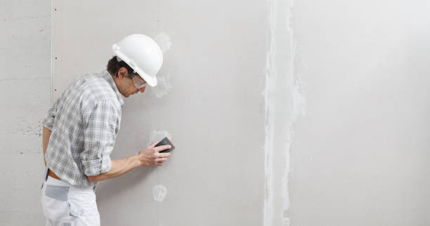  Sheridan, IL Painting & Drywall Services Pros