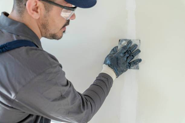 Best Drywall Removal and Disposal  in Sheridan, IL